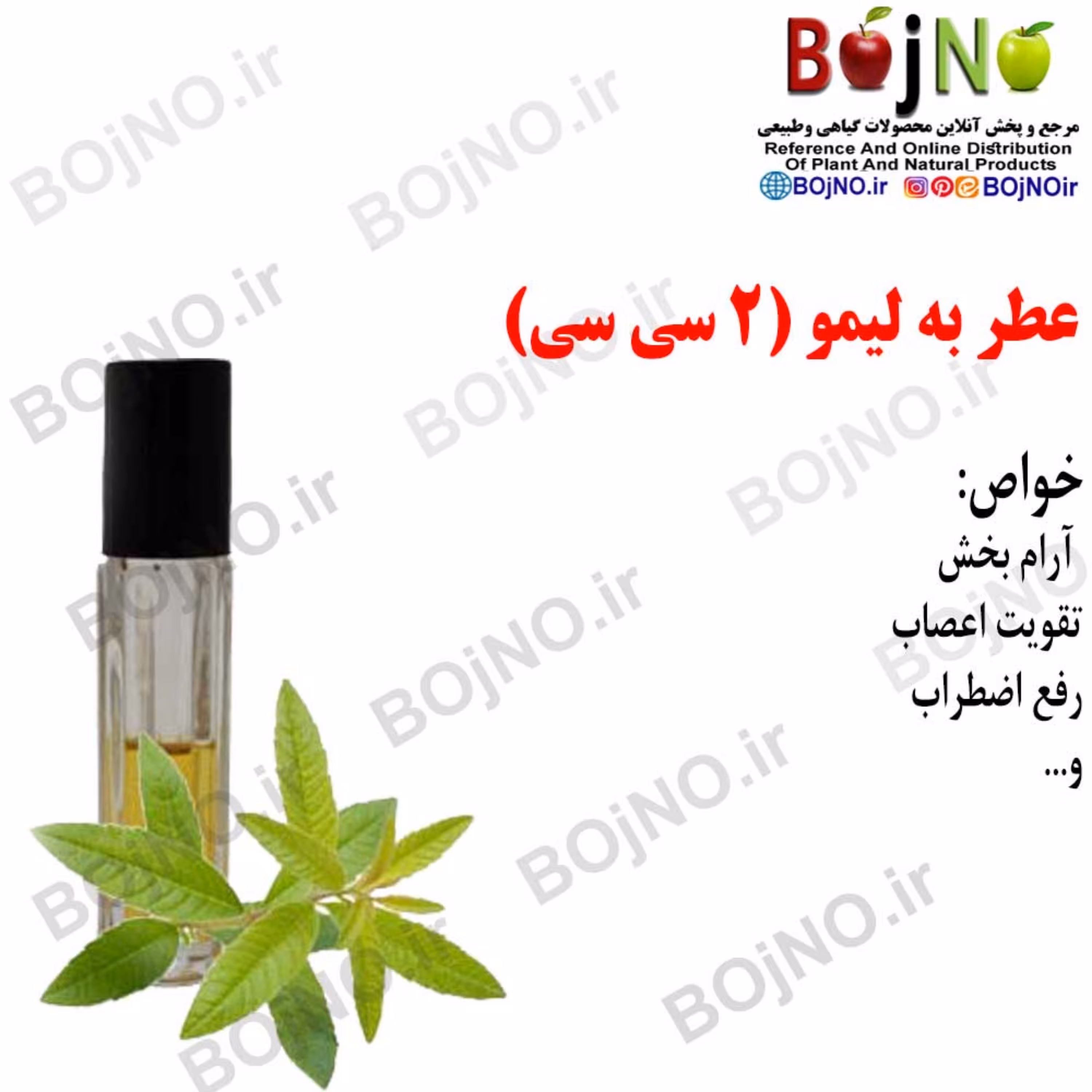 عطر بابونه 4سی سی