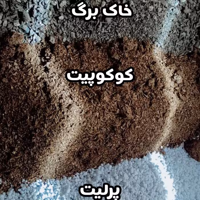 خاک سبک آپارتمانی تضمینی کوکوپیت و پرلیت و خاکبرگ داره 