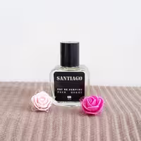 عطر جیبی مردانه پینک مدل  SANTIAGO حجم 35میلی لیتر 