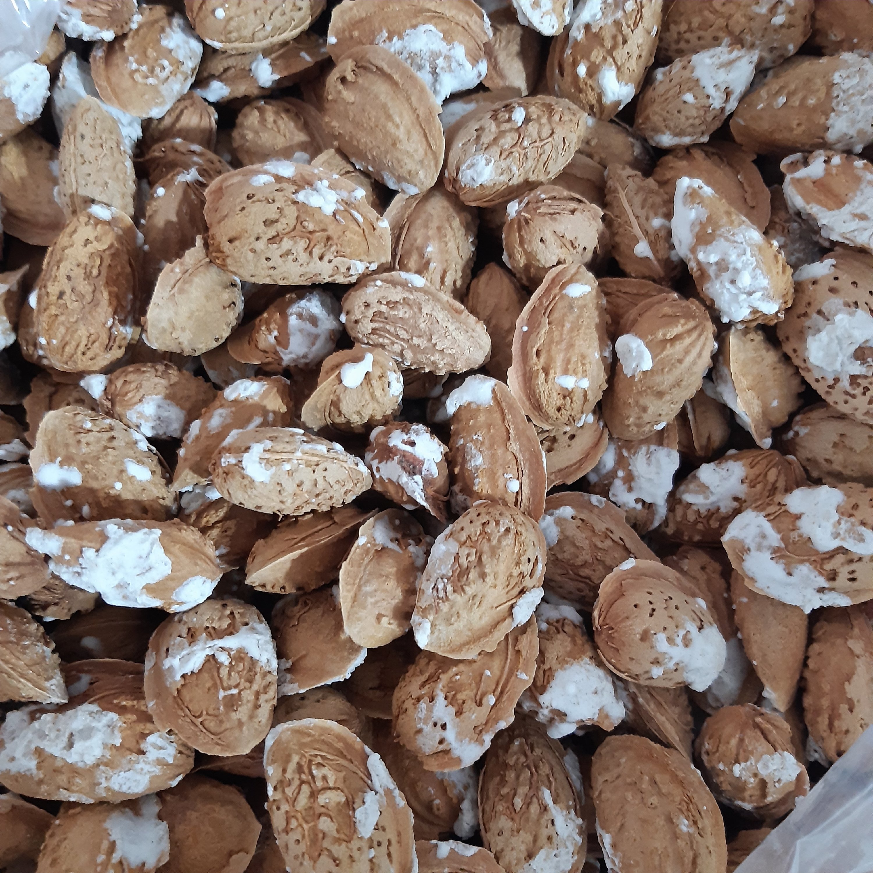 بادام منقا پوست کاغذی(500 گرمی ) محصول 1403