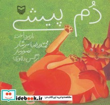 قیمت و خرید کتاب دم پیشی اثر محمدرضا سرشار | ایده بوک