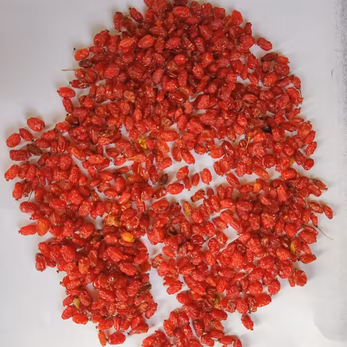 زرشک بی دانه مخصوص آب زرشک یک کیلوگرم