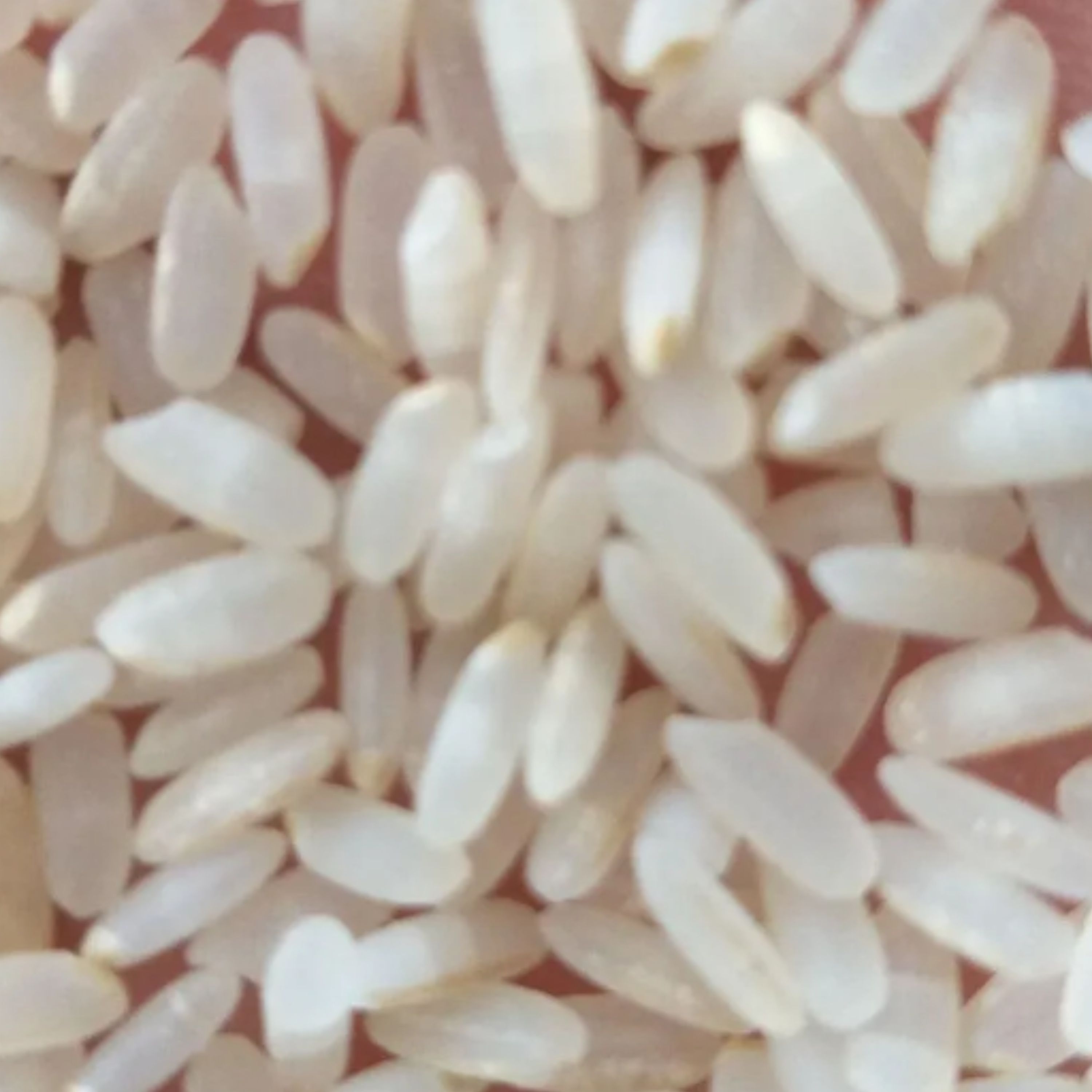 برنج  کامفیروز ی درجه یک با طبع گرم