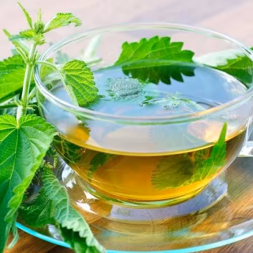 عرق گزنه ( جلوگیری از بروز مشکلات پروستات ) 