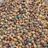 بنه نیم کیلو