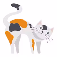 استند رومیزی تولد طرح گربه کد 421