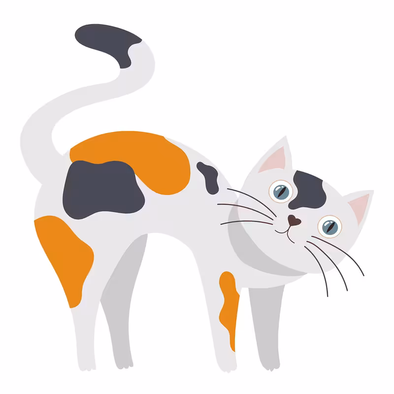 استند رومیزی تولد طرح گربه کد 421