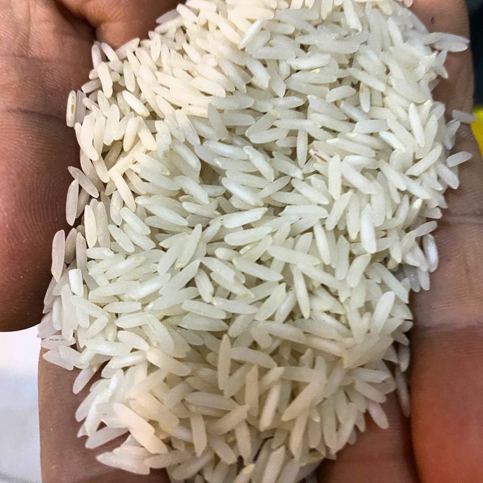 برنج یک کیلویی شیرودی استخوانی فوق ممتاز ( محصول مزارع گیلان با ارسال مستقیم از کشاورز)