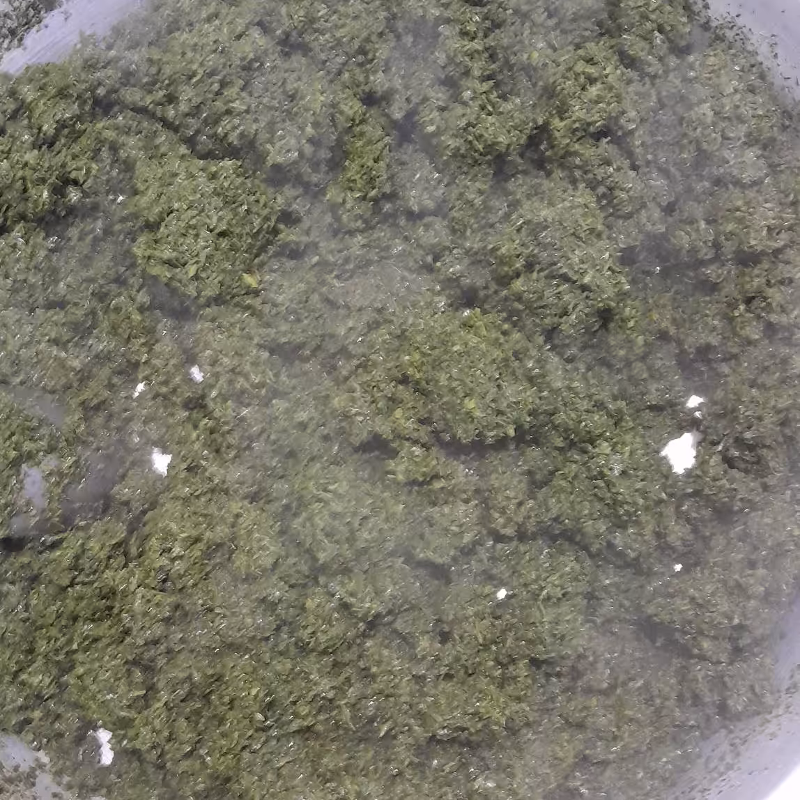 مرغ ترش(سبزی مخصوص خورشت مرغ ترش گیلان سرخ شده)500گرم