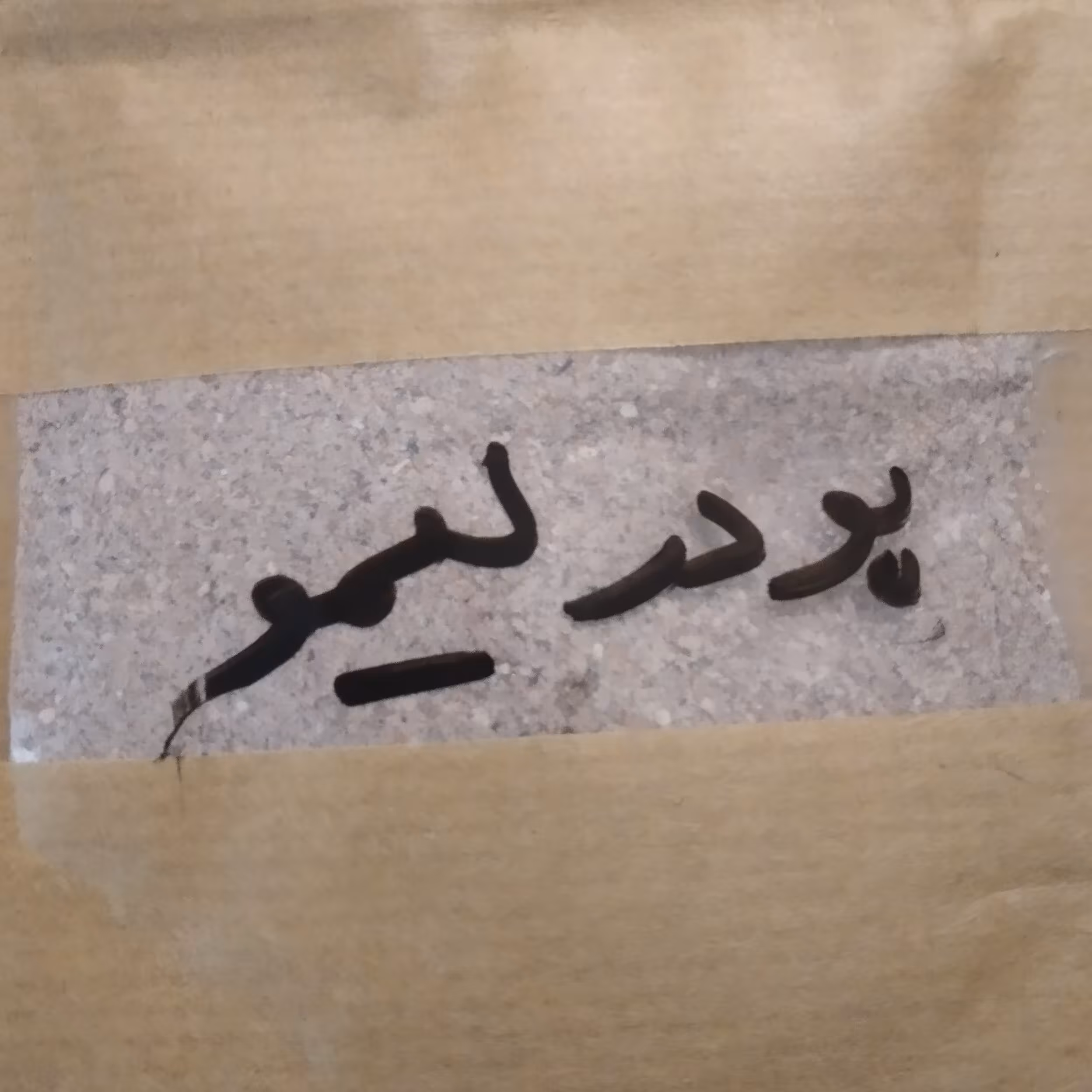 پودرلیموترش بدون تلخی(100گرمی)