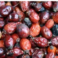 میوه نسترن یک کیلویی عطاری دستانی 