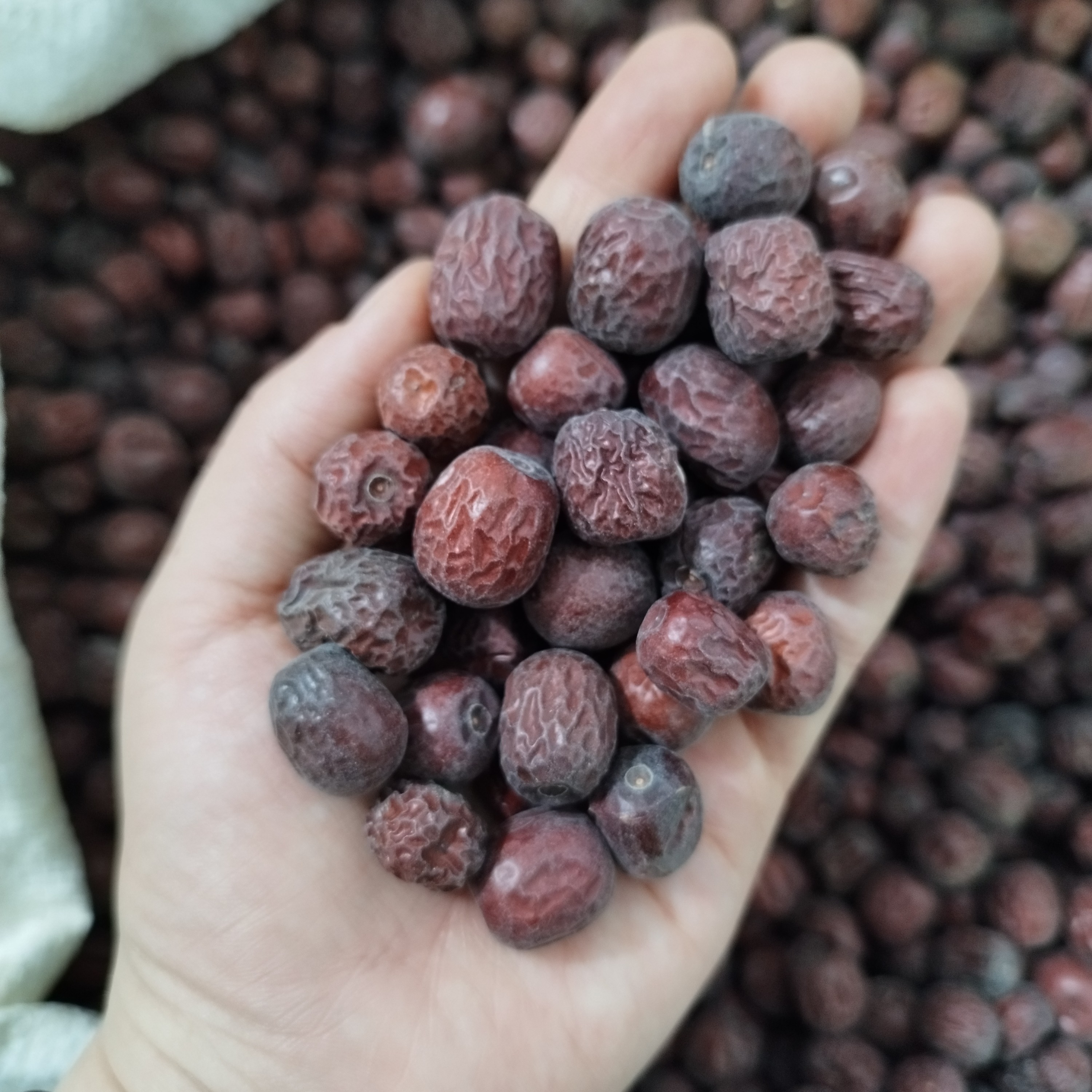 عناب خشک امسالی قیمت مناسب(یک کیلویی) مقوی و خوش طعم