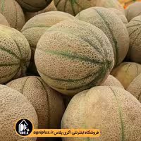 بذر طالبی سمسوری فلات