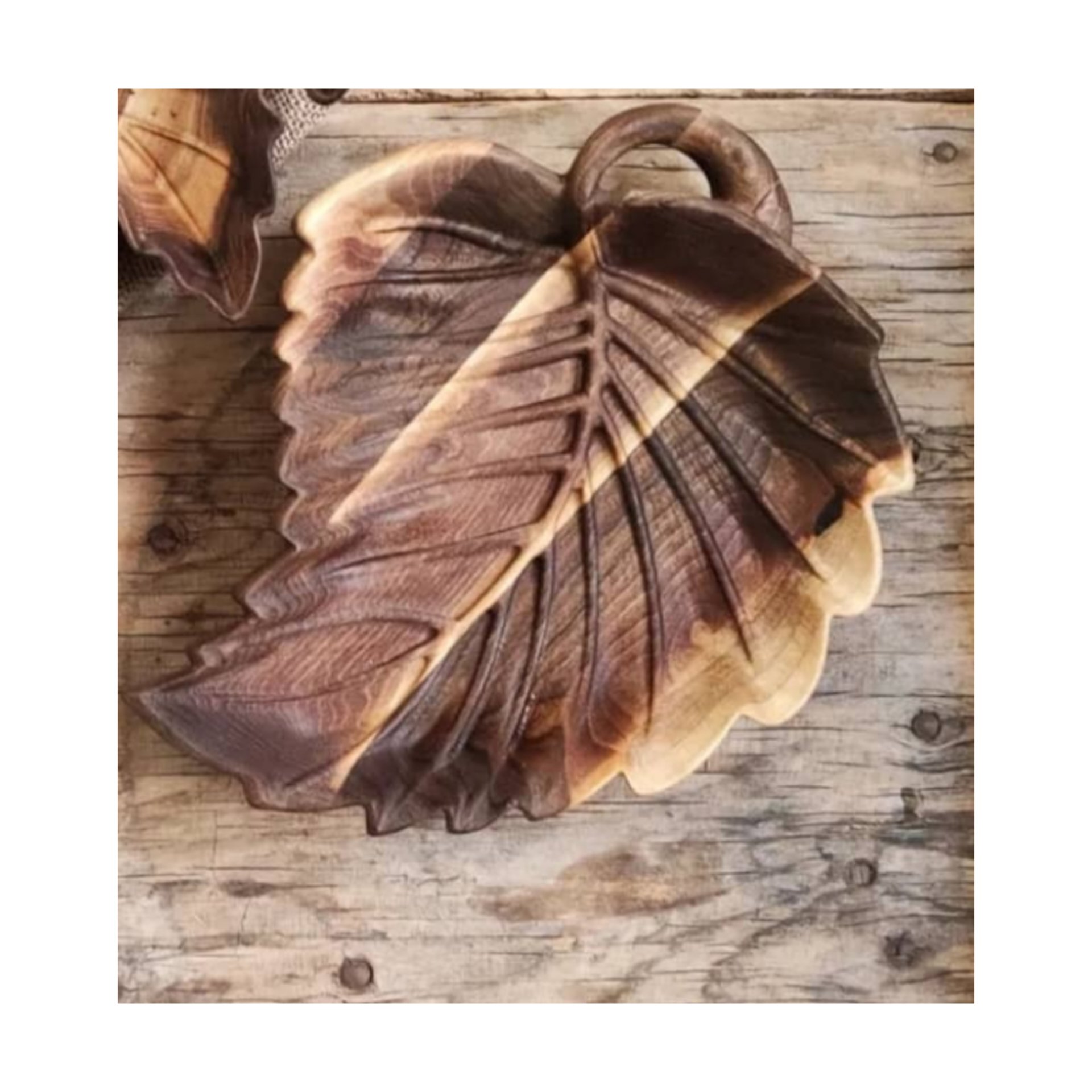 شکلات خوری طرح برگ توت سایز 3