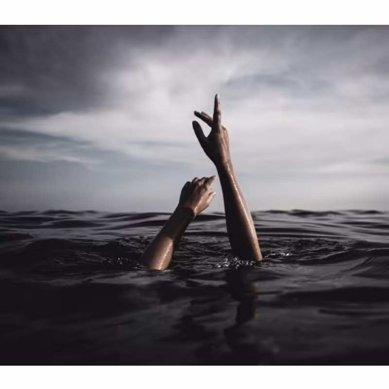 پدفرمژه ، مواد نو