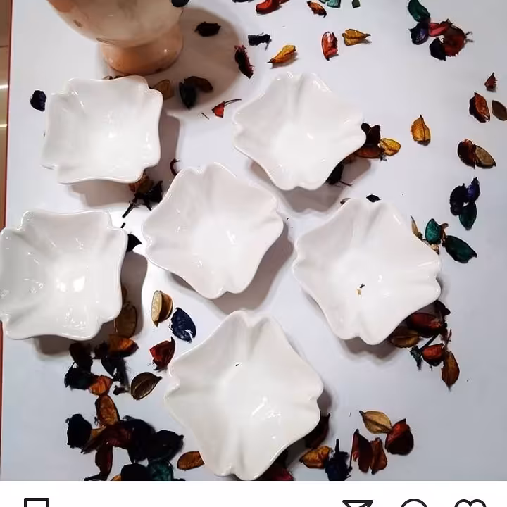 کاسه طرح گل 
6تایی جنس سرامیک مناسب برای  ماست و ترشی و ...