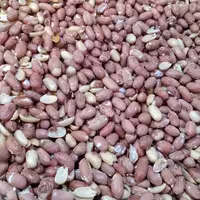 بادام زمینی آستانه اصل