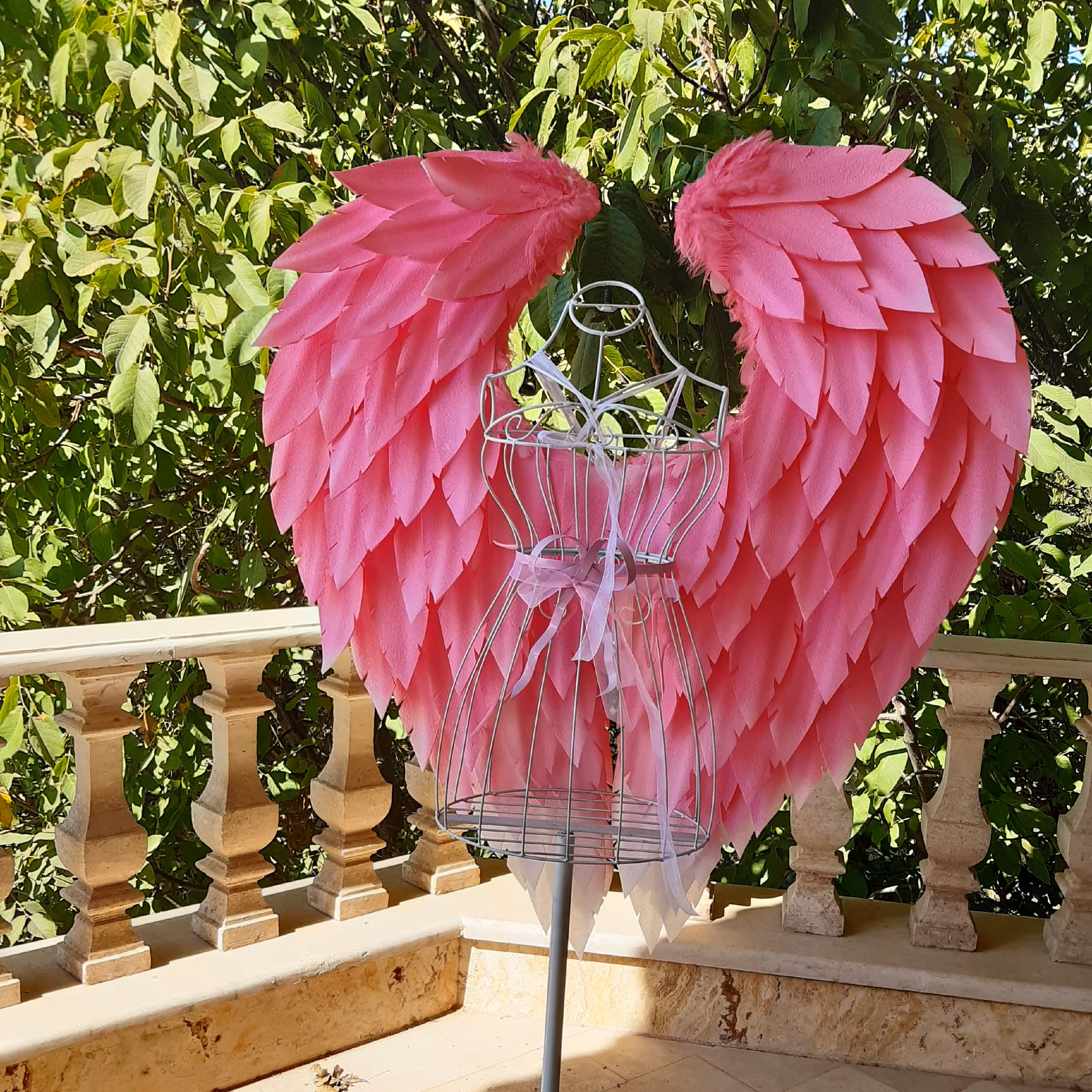 بال فرشته صورتی بزرگسال