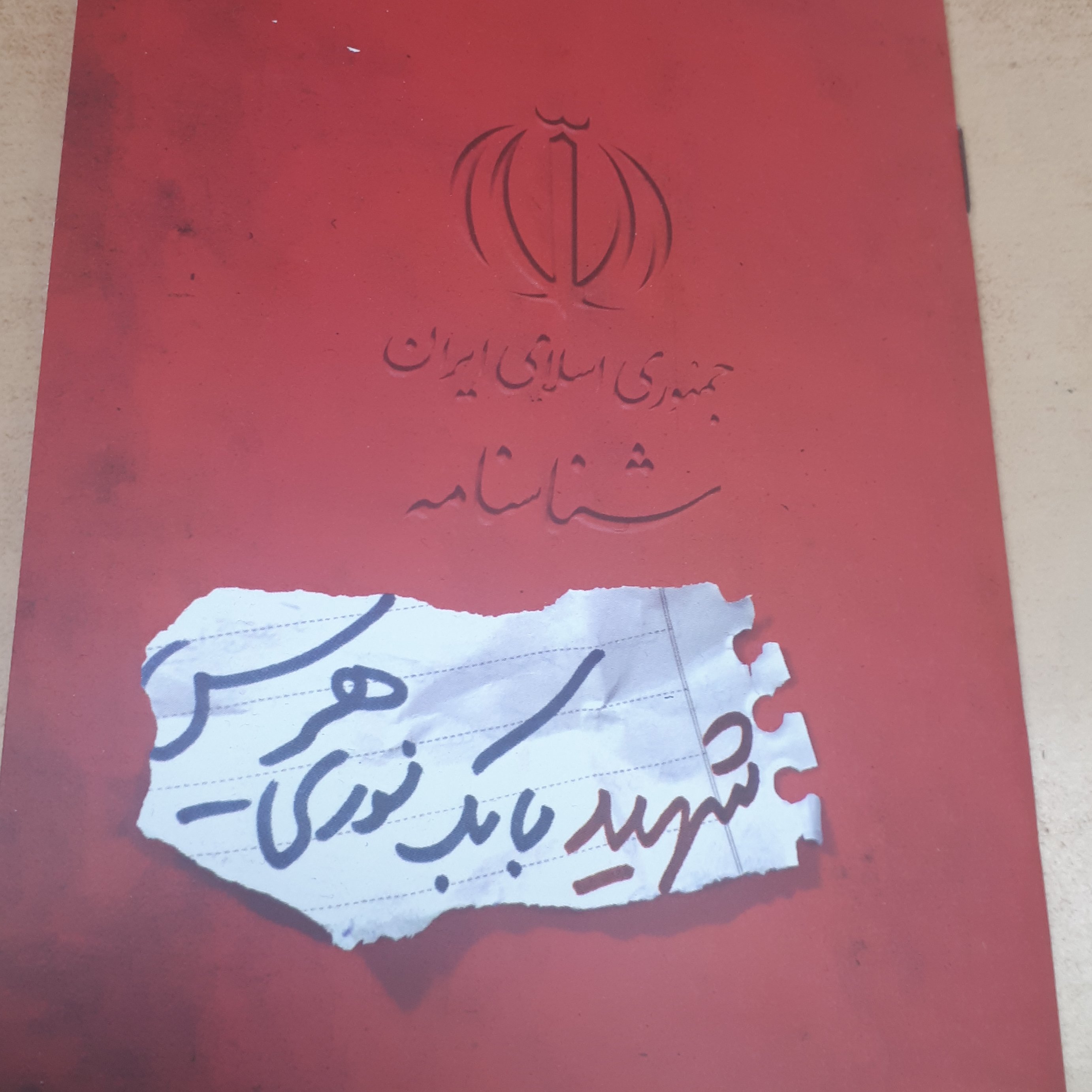 شناسنامه شهدا جلد13