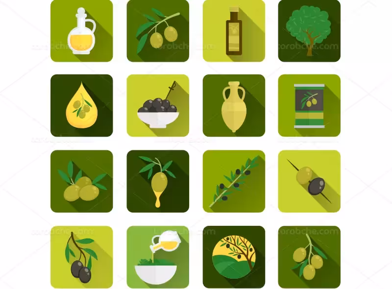 وکتور انواع زیتون | گرافیک با طعم تربچه