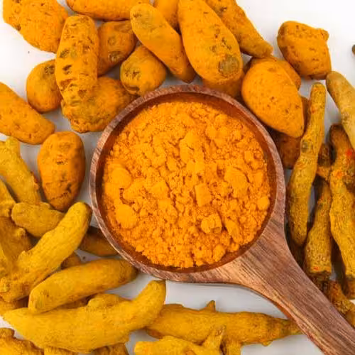 زرد چوبه قلم راجاپوری(1000 گرم)