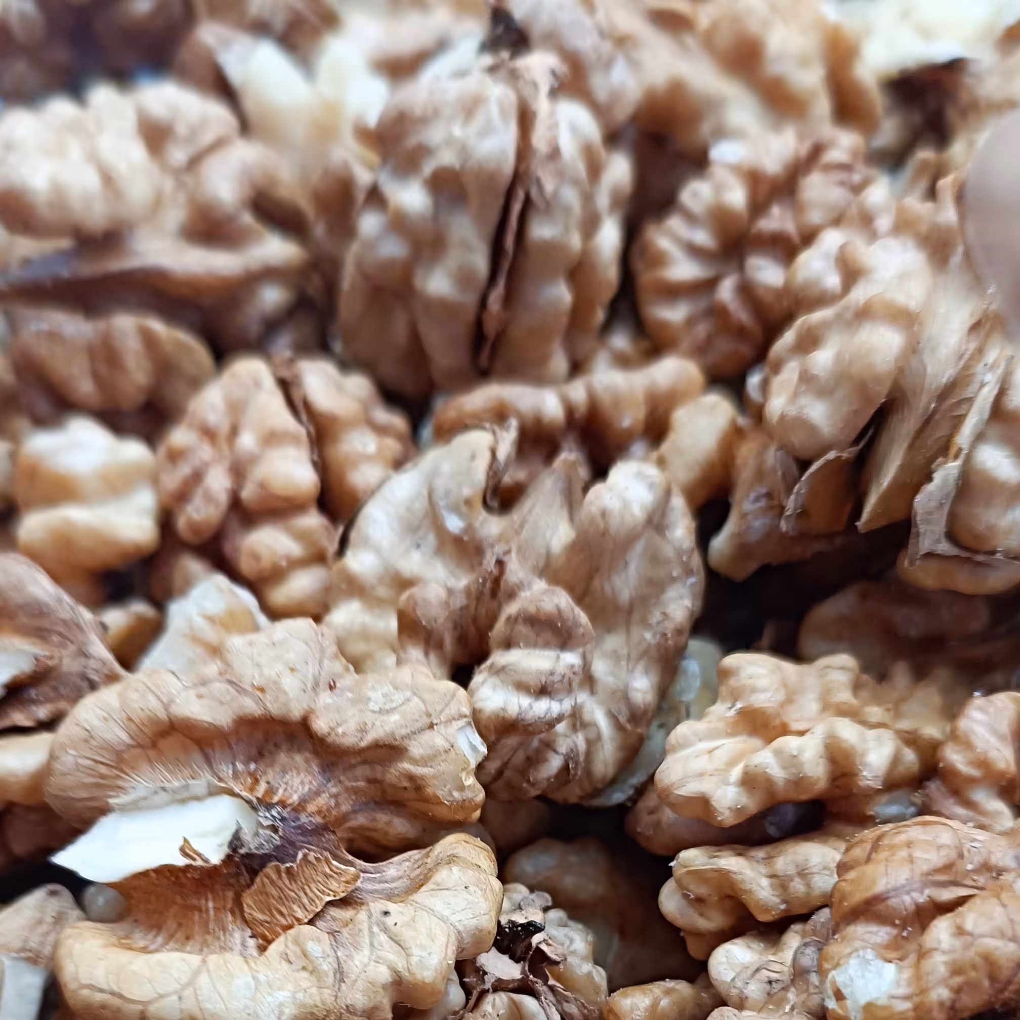 مغز گردو ایرانی سوپر ممتاز  250 گرم  133