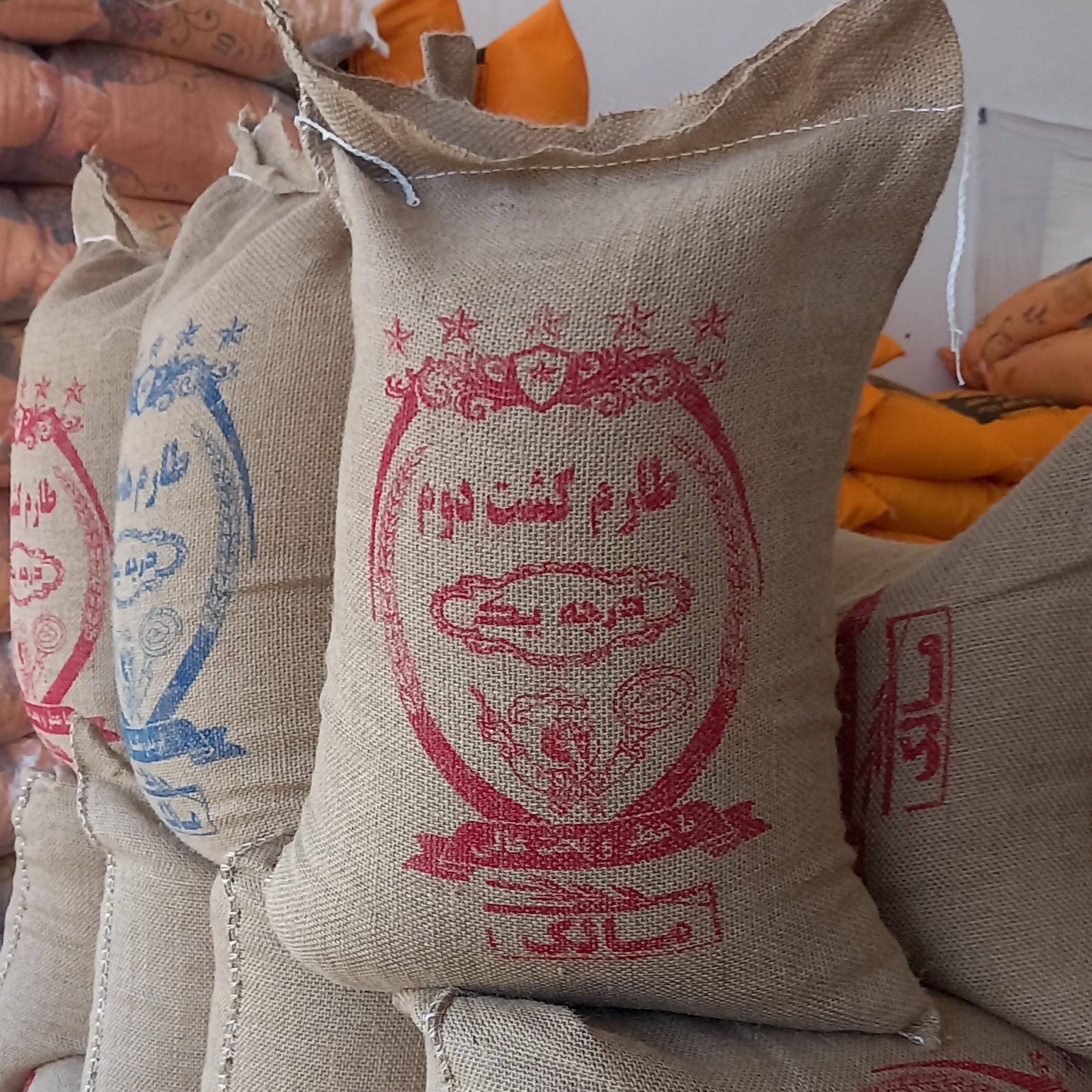 طارم کشت دوم هاشمی