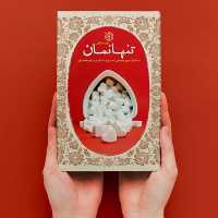102808-کتاب تنها نمان-خاطرات مریم امجدیان همسر شهید مدافع حرم ابوذر امجدیان-خط مقدم