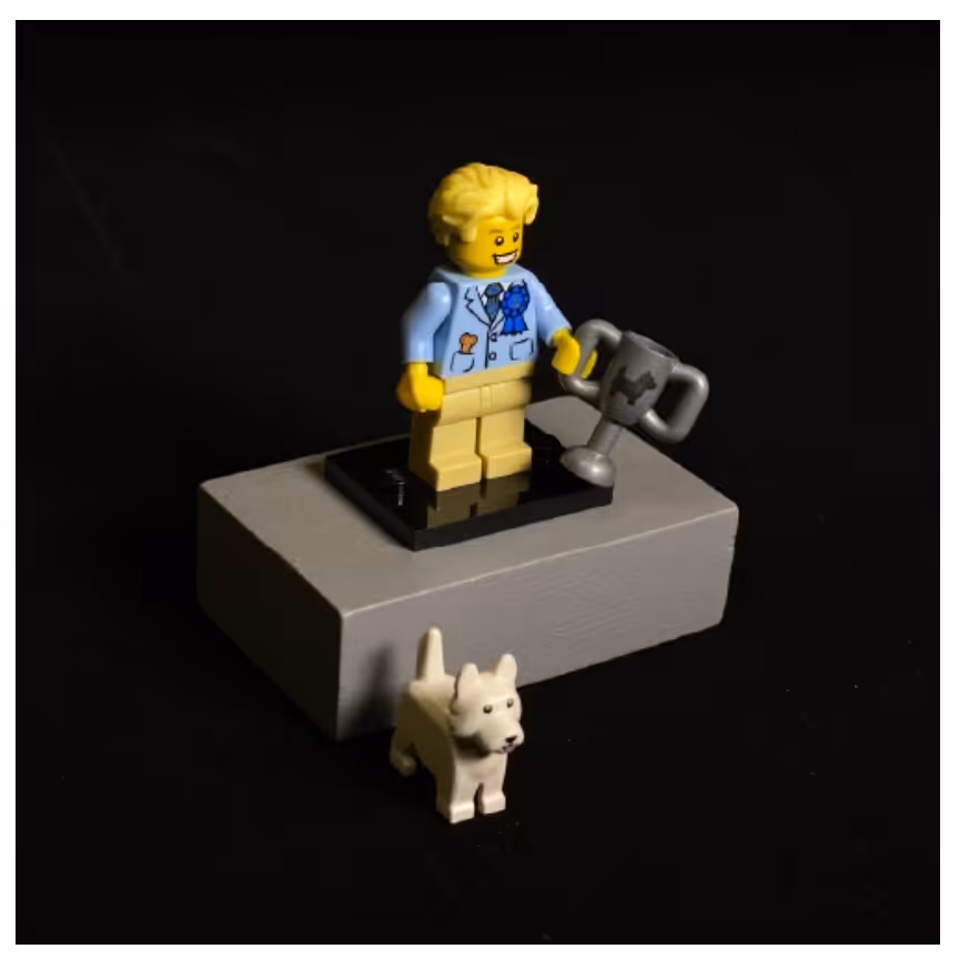 لگو مینی فیگور انتخابی سری 16 کد 71013 آیتم Dog Show Winner
Lego Minifigures Series 16 Dog Show Winner 71013