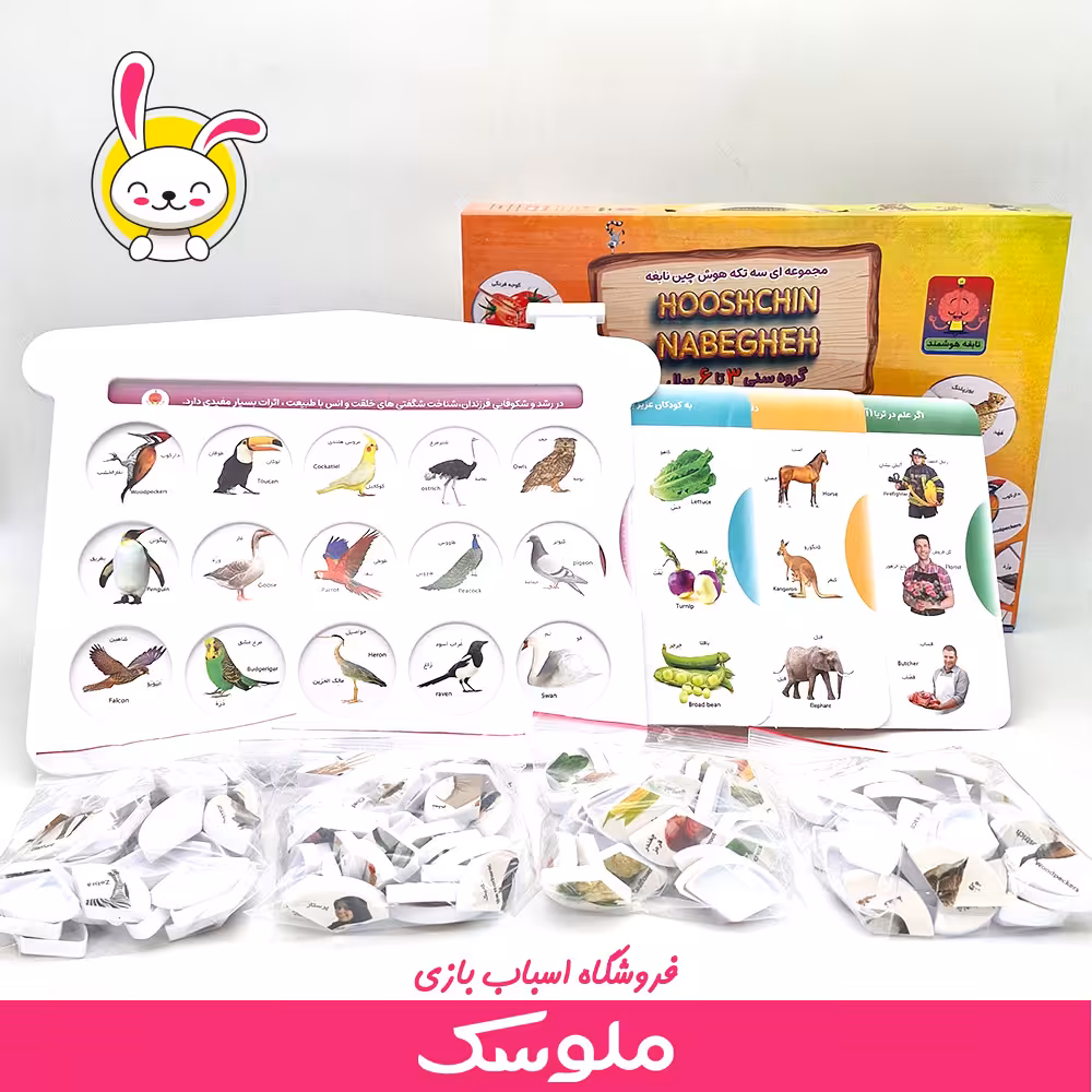 اسباب بازی آموزشی هوش چین سه تیکه