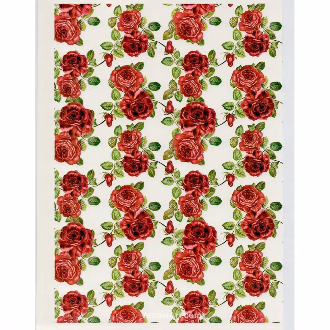 ترانسفر  گل قرمز 