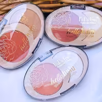 پالت رژگونه و هایلایتر  DODO GRIL اورجینال