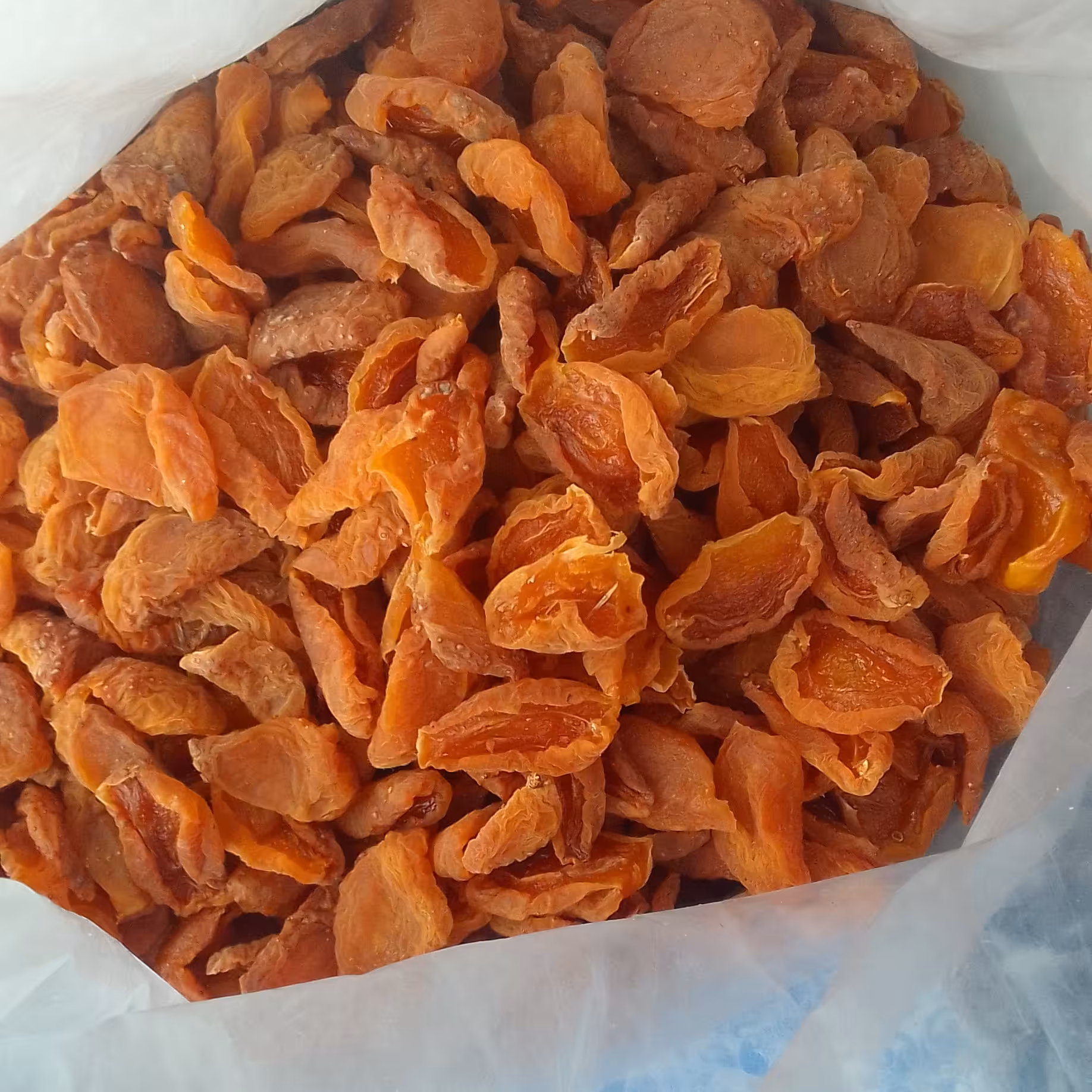 برگه زردآلو (1000 گرم ) 