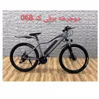 دوچرخه برقی 