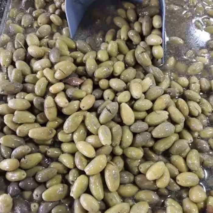 زیتون ماری پاییز 1401