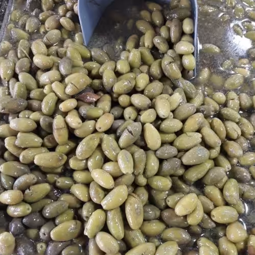 زیتون ماری پاییز 1401