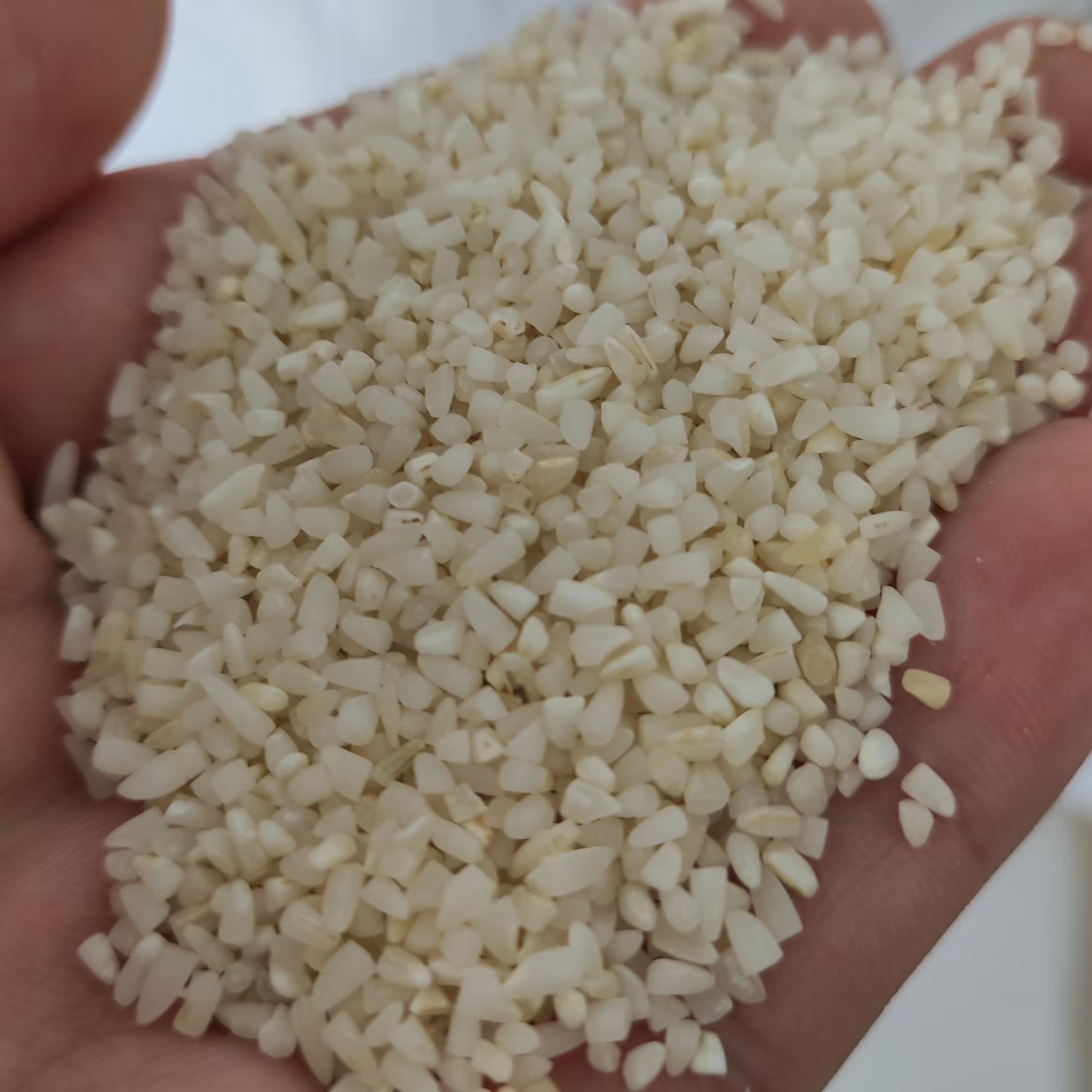 برنج لاشه درجه یک خالص بدون قاطی 