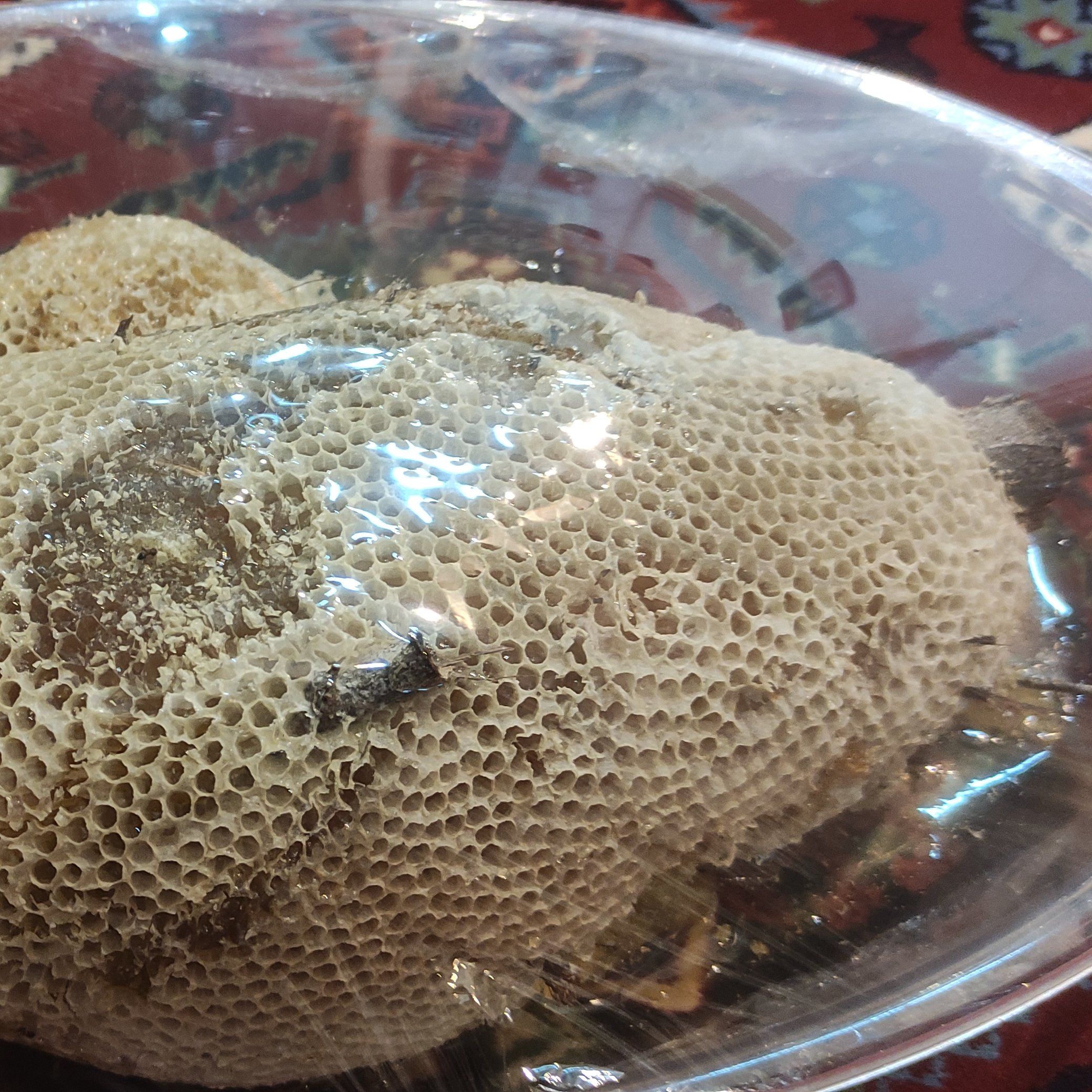 عسل کوهی با مهره کاملا ارگانیک