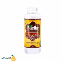 کود ریشه زا باسیلار