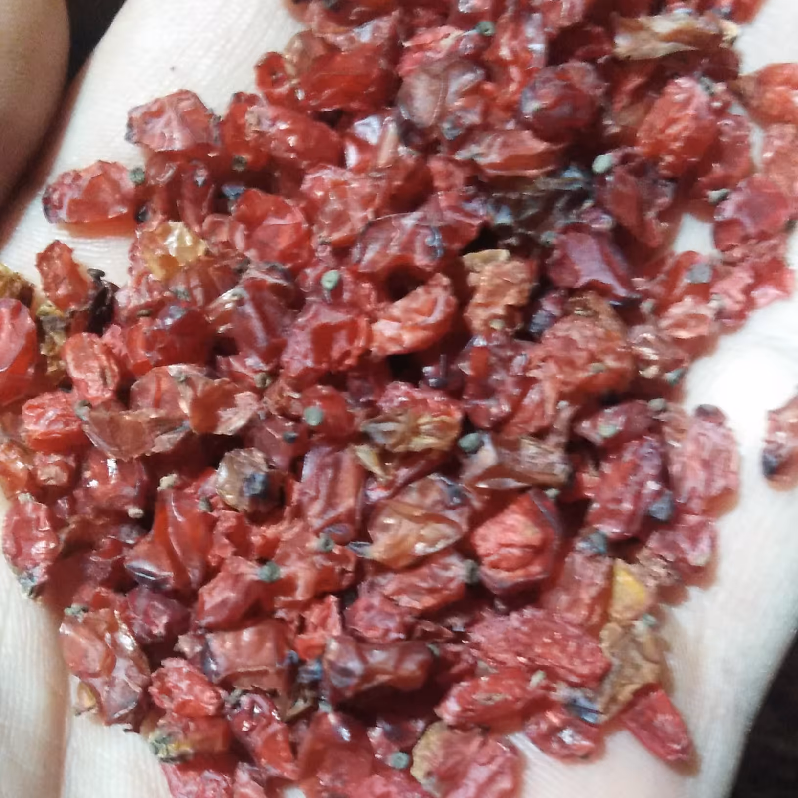 زرشک بسته بندی یک کیلو گرمی درجه دو 