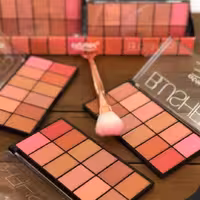 پالت رژگونه 12 رنگ آرت اسکین