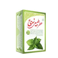 عطر نعناع مرهم طبیب 4 گرم فدک (طبیعی و درمانی)