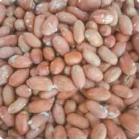 بادام زمینی درجه یک آستانه اشرفیه ارسال رایگان  دو کیلویی