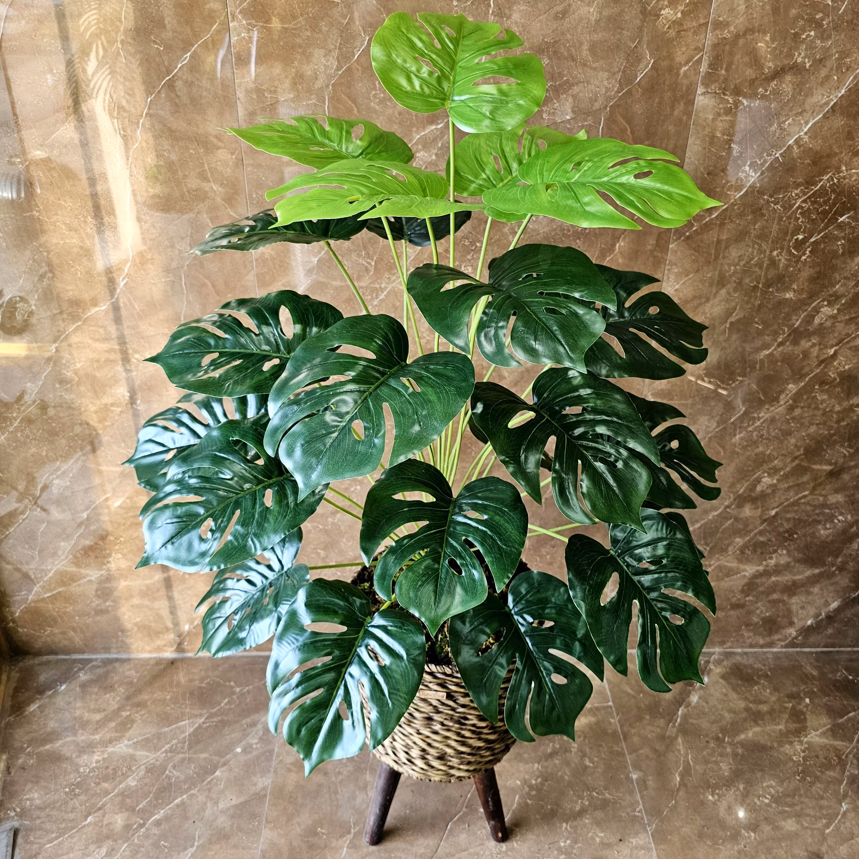 گل مصنوعی درختچه برگ انجیری 24 برگ لمسی وارداتی (عالیجناب)