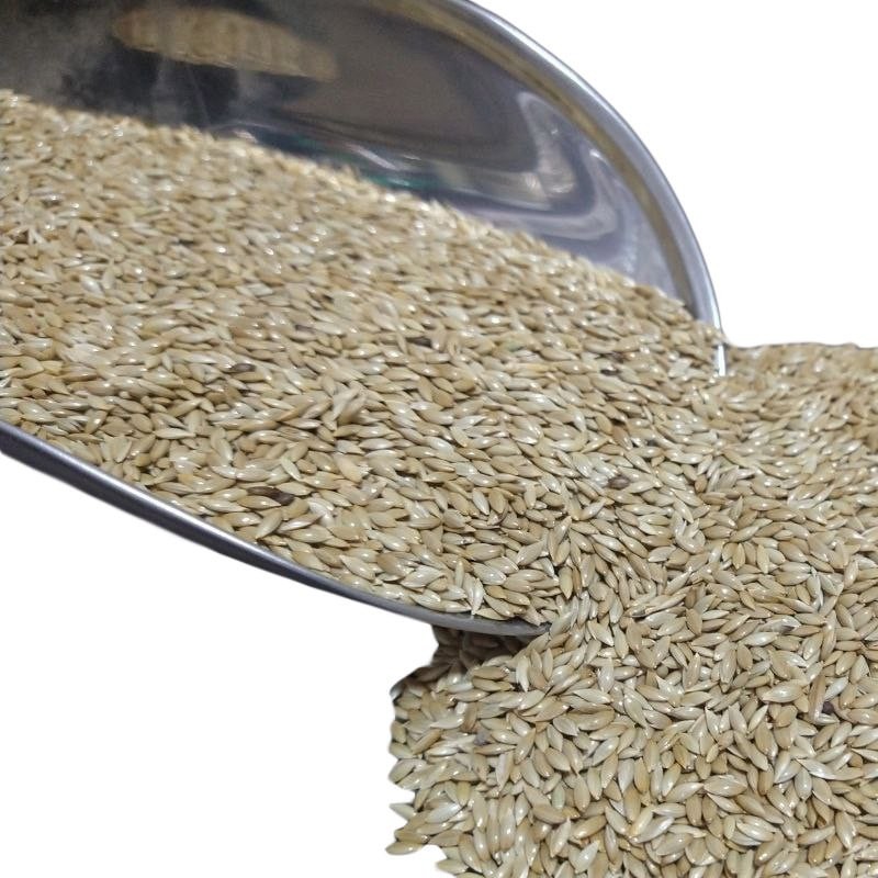تخم کتان اردبیل 500گرم درجه یک دست چین استریل کامل مخصوص پرندگان