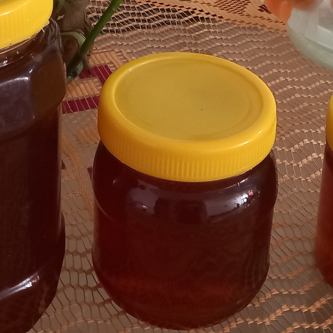 عسل کنار 500گرمی