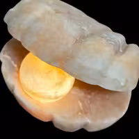 آباژورهای سنگ نمک صدف