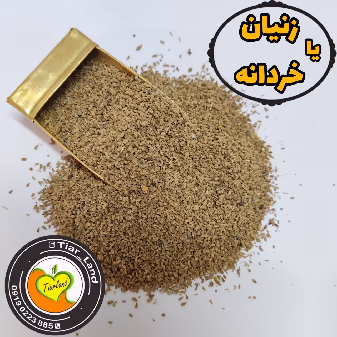 دانه زنیان یا خردانه فروشگاه تیارمزه، فاقد چوب و ناخالصی