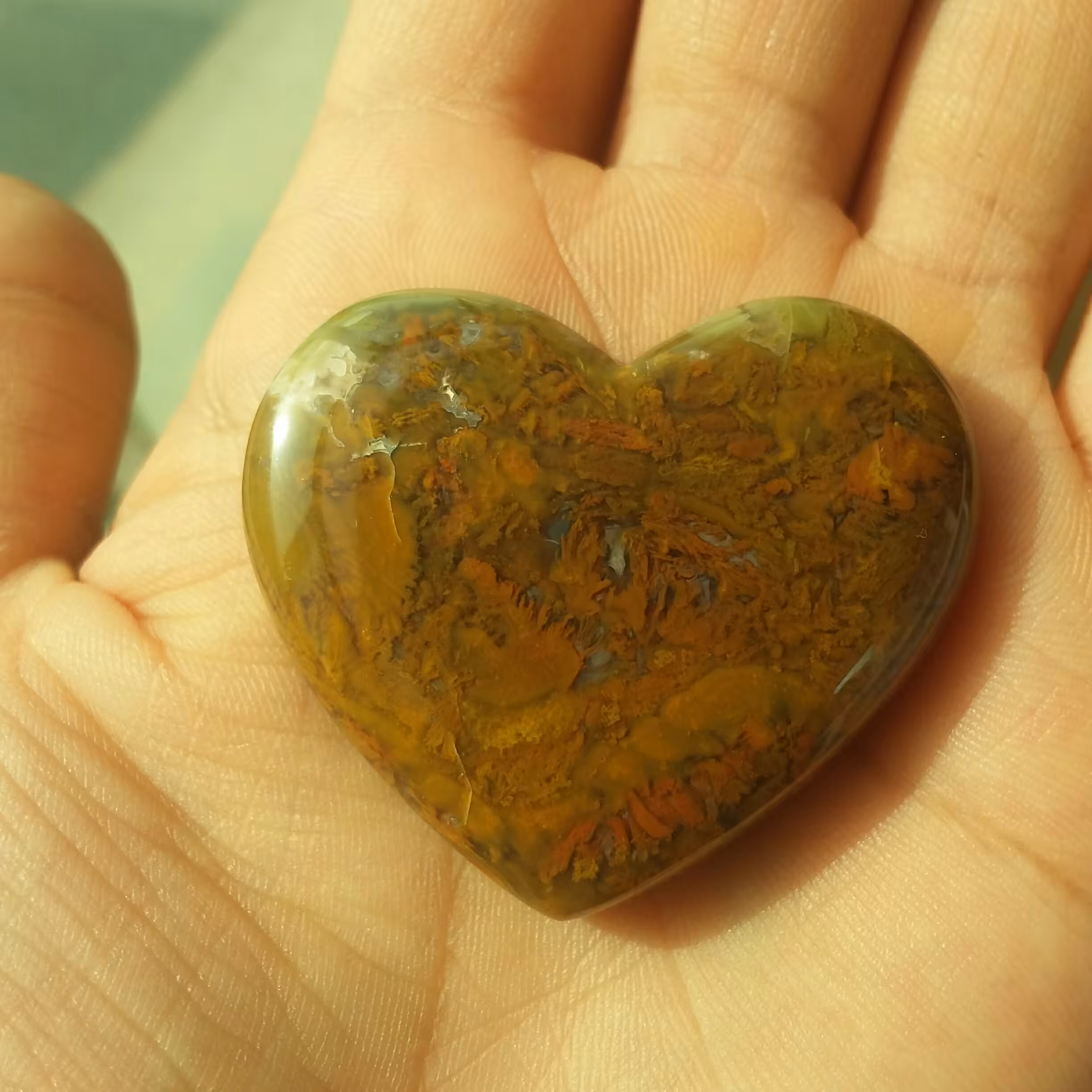 نگین شجر پاییزه تراش قلب شاهکار خلقت خوش رنگ و بسیار دیدنی