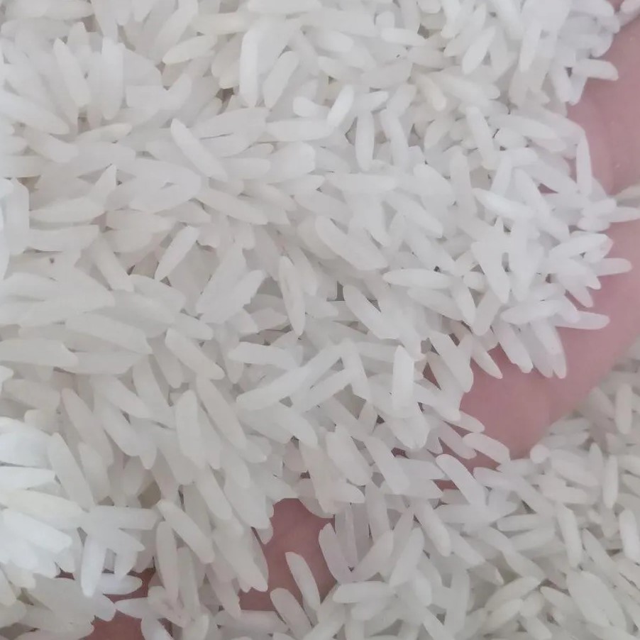 برنج شیرودی شمال بسته 10 کیلویی درجه یک و خوش پخت با قیمت مناسب